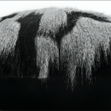 Load image into Gallery viewer, Shadow Faux Fur Cushion