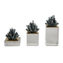 Load image into Gallery viewer, Iris Decor Bundle