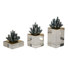 Load image into Gallery viewer, Iris Decor Bundle