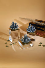 Load image into Gallery viewer, Iris Decor Bundle