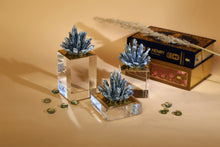 Load image into Gallery viewer, Iris Decor Bundle