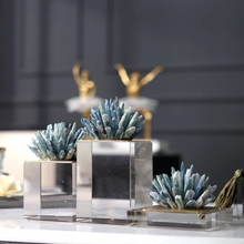 Load image into Gallery viewer, Iris Decor Bundle