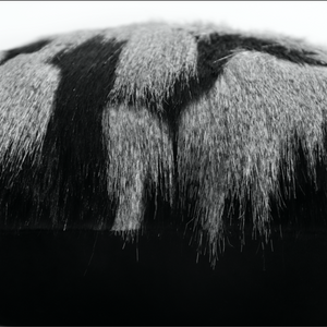 Shadow Faux Fur Cushion
