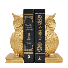 Load image into Gallery viewer, Wise Owl Bookends
